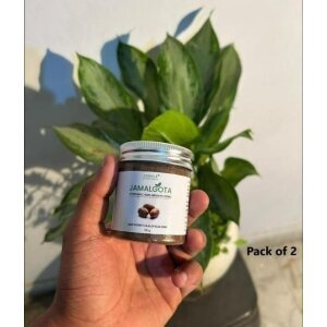 Jamalgota Ayurvedic Hair Growth Powder 100gm Each (Pack Of 2)