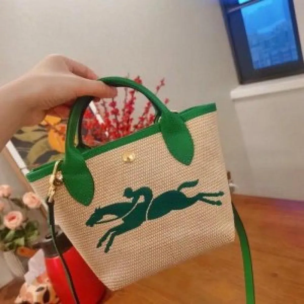 Long Champ Bag