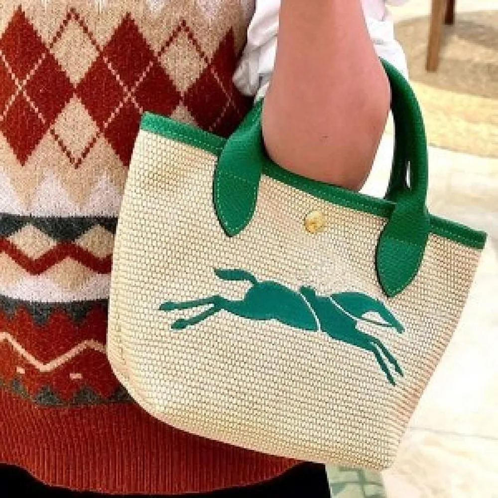 Luxury Long Champ Bag With Carry Bag For Women (SUP3095) - Image 2