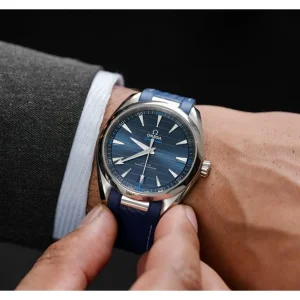 Omega Seamaster Aqua Terra Watch