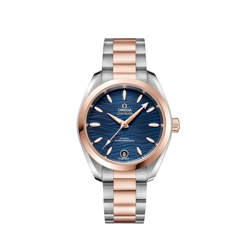 Omega Seamaster Aqua Terra Watch