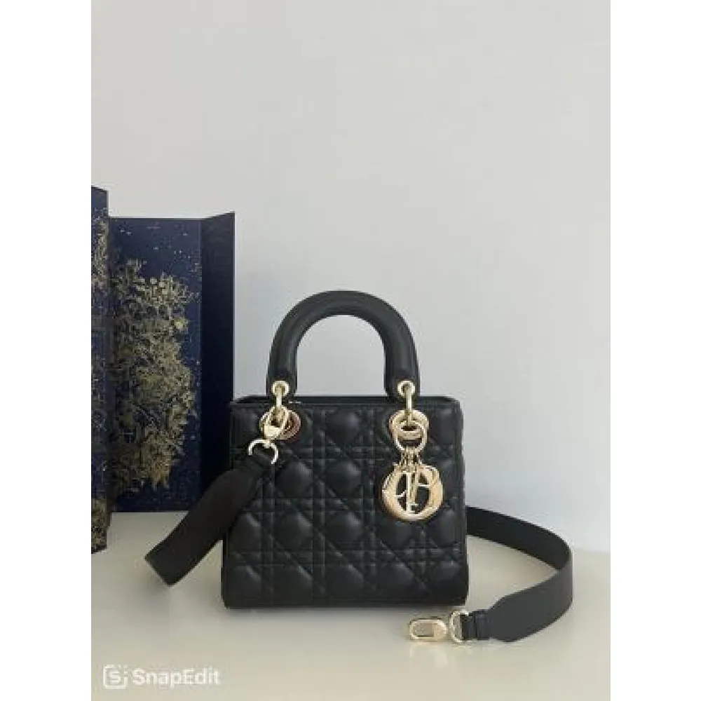 Dior Bag