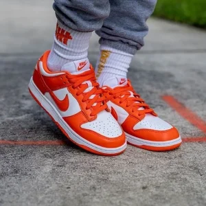Nike Air Sb