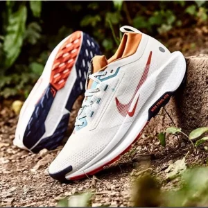 Nike Pegasus Trail 5